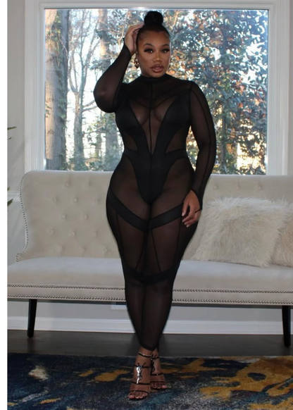 Feline Mesh Jumpsuit